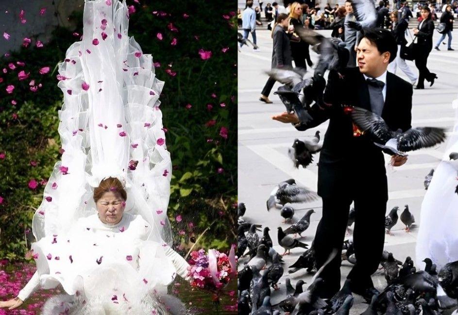 Attack of the Doves and a Bride Falling into the Water—Not a Nightmare, Just Someone’s Wedding!