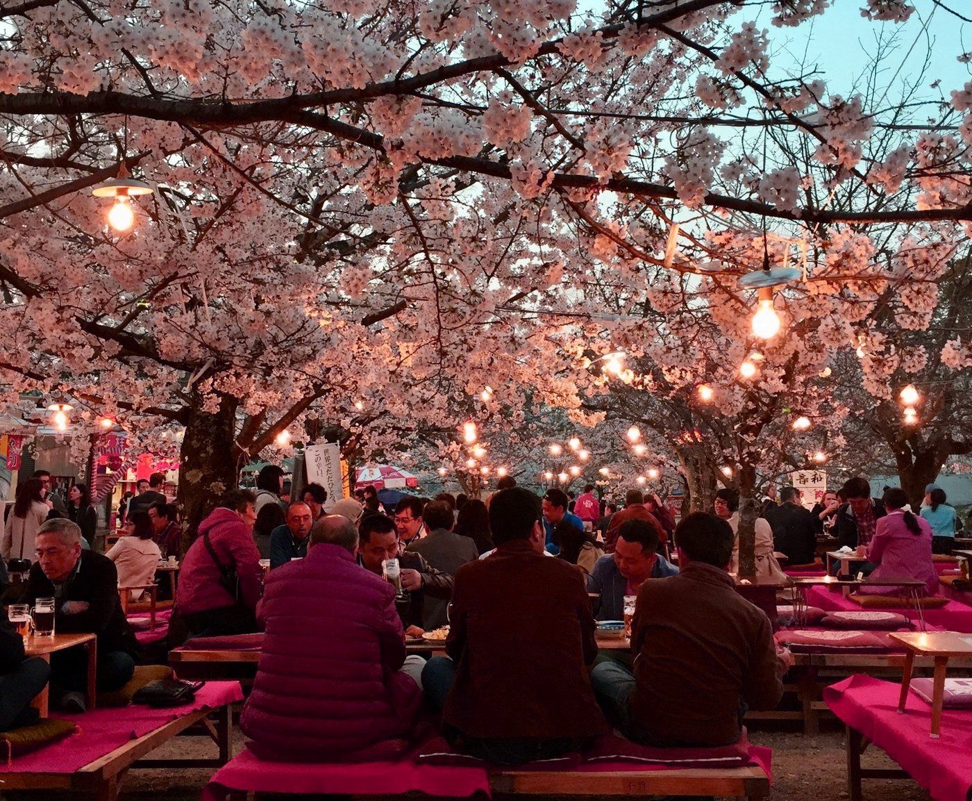 36-a.jpg?format=webp